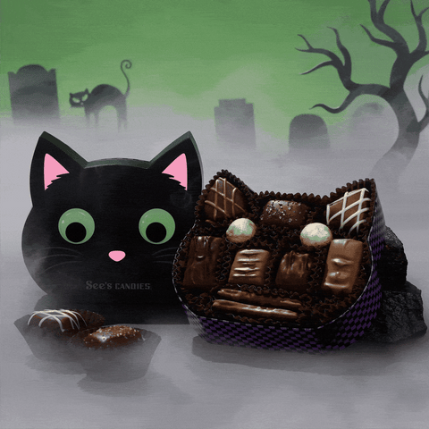 Purr-fect Treat Box / Caja de Gatito