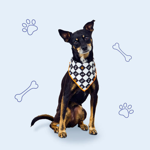 Dogust Bandana / Bandana Perruna